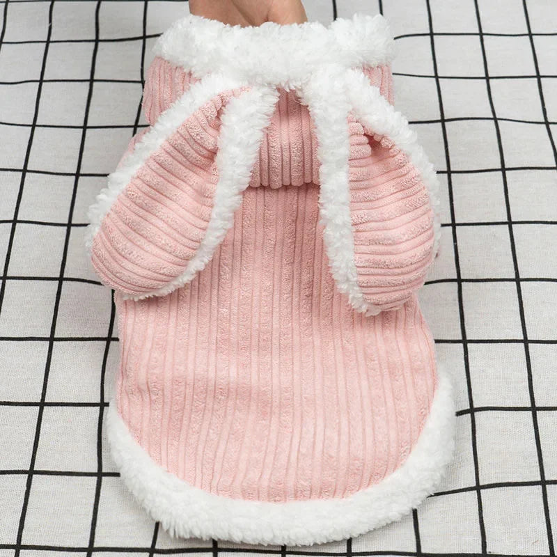 Warm Winter Clothes for Kittens, Rabbit Appearance