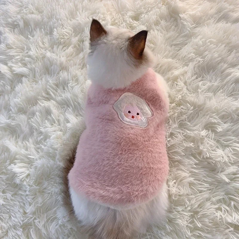 Warm kitten clothes