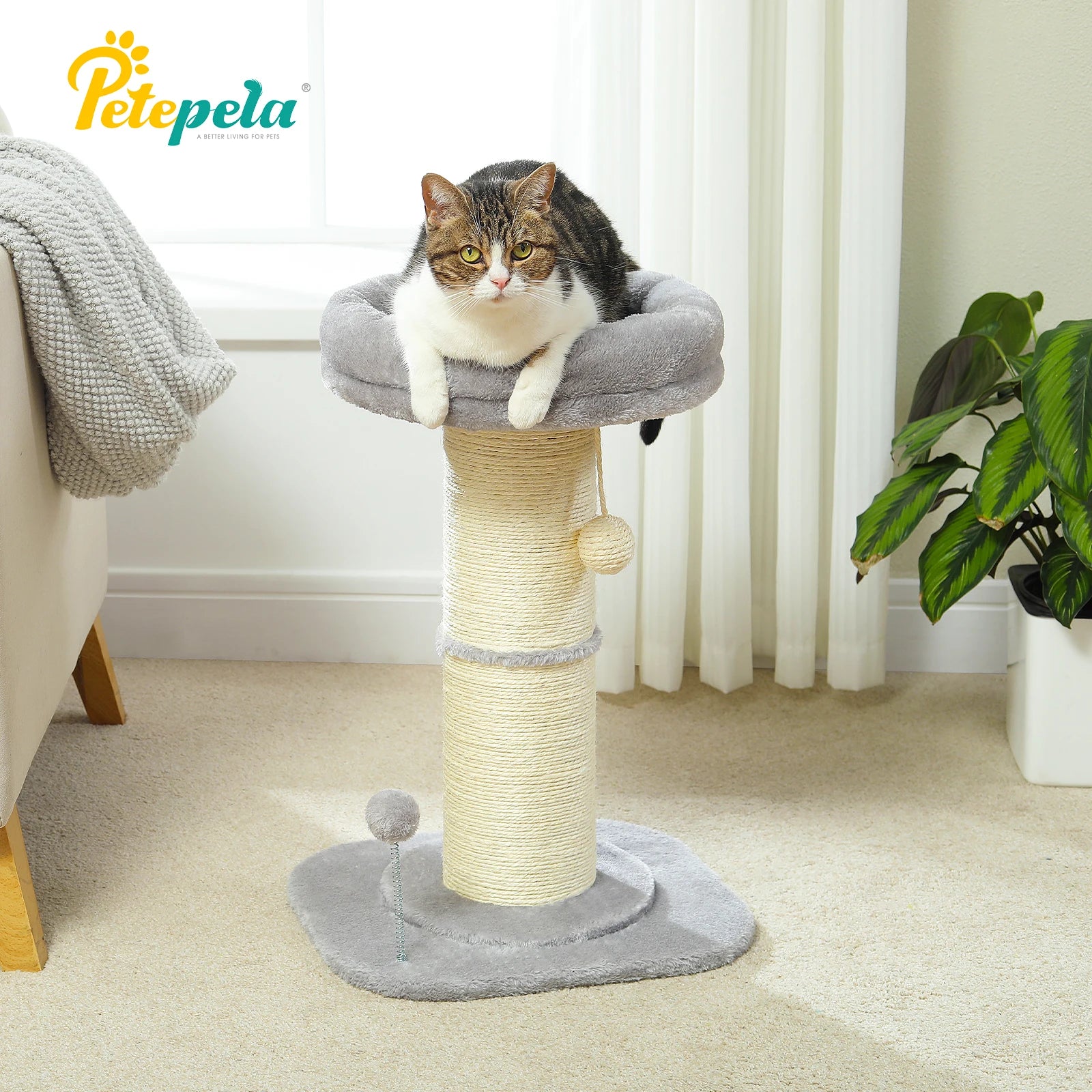 Small Flower Tree Cat Scratching Post