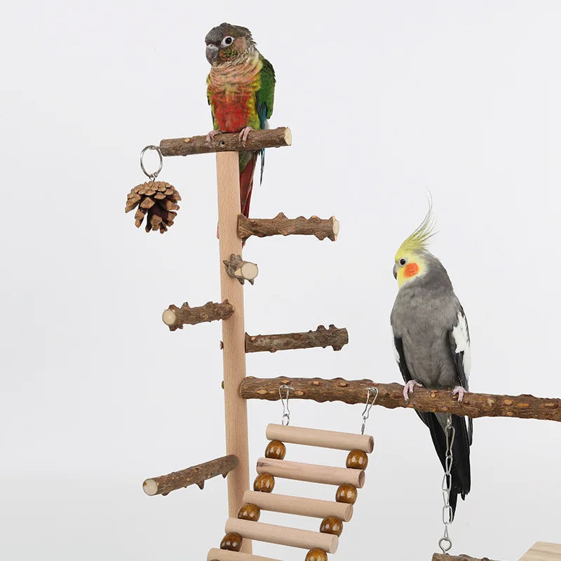 Pepper wood parrot platform