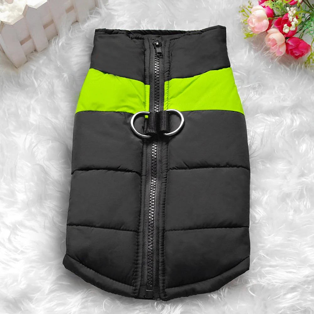 Winter clothes for pets
