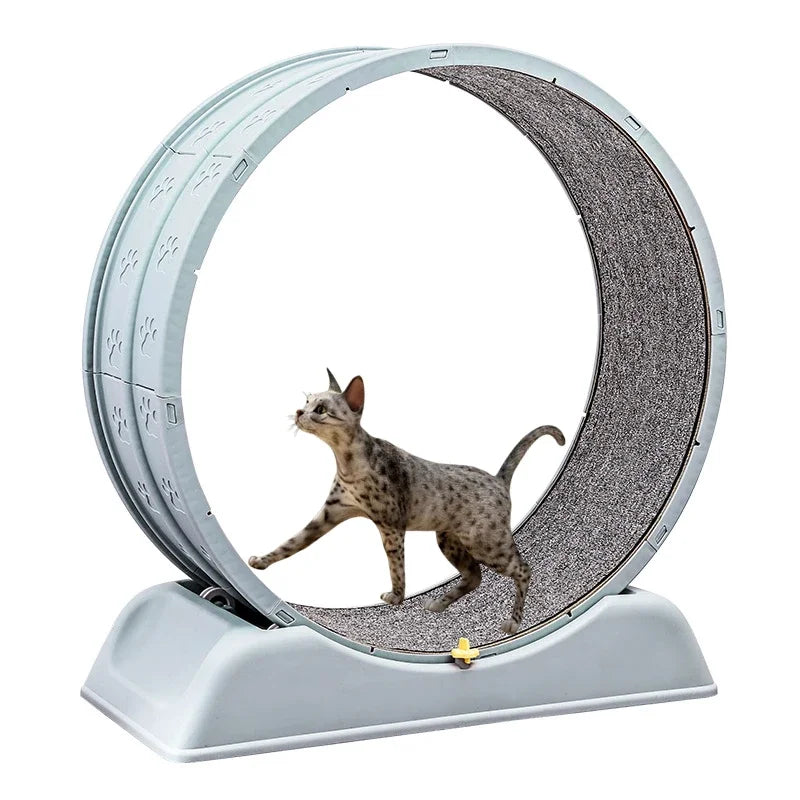 Silent cat running wheel