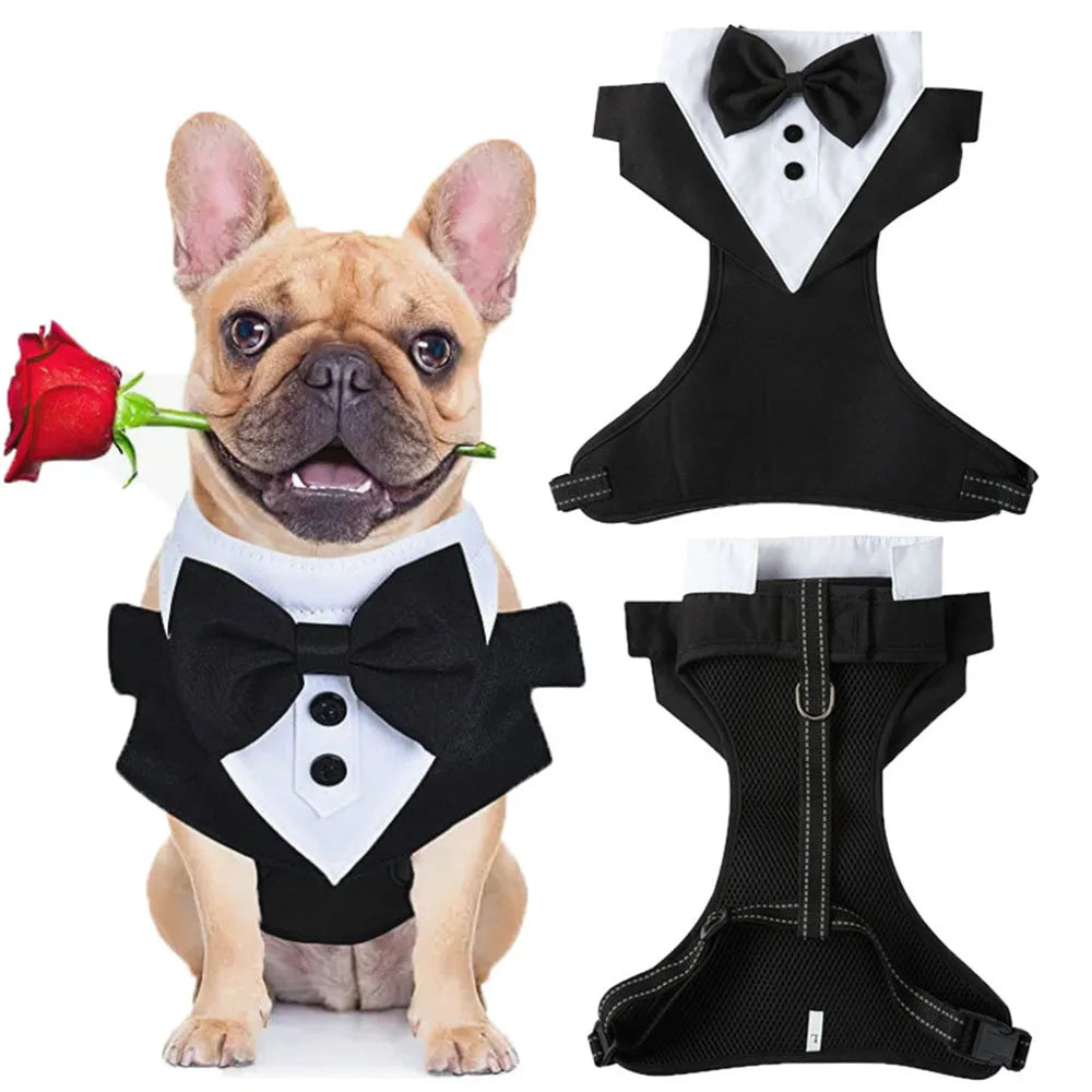 Dog Evening Dress, Formal Shirt