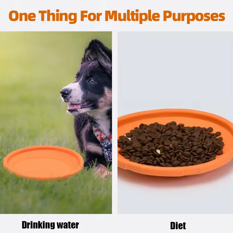 Dog Safe TPR Flying Saucer Colorful Multifunction Flying