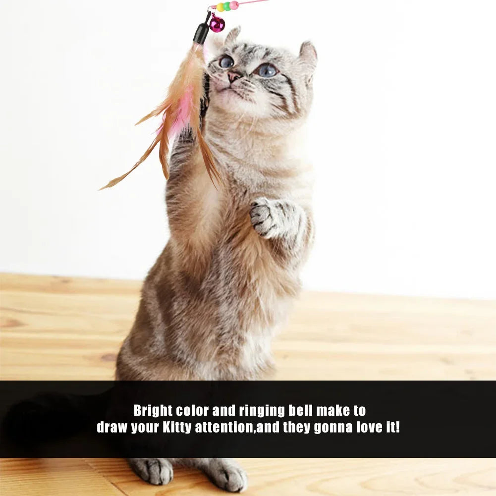 1-10 Pieces Interactive Feather Toy Accessories for Cats