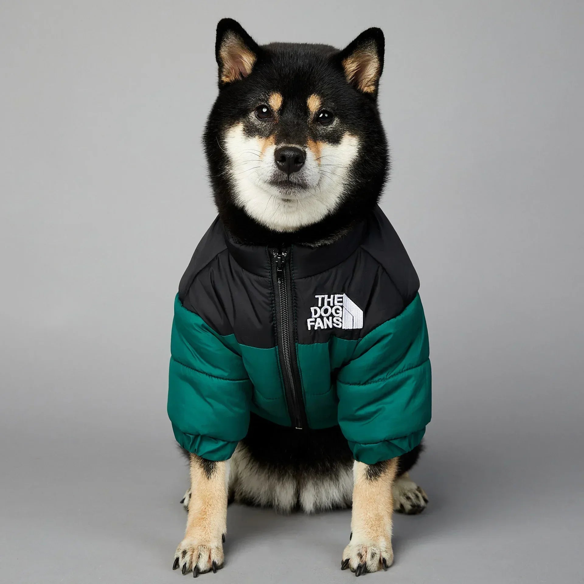 Warm and Thick Dog Jacket, French Bulldog