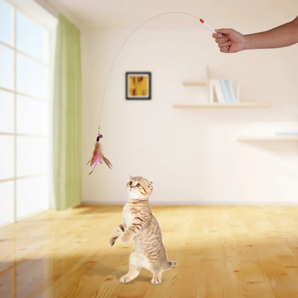 1-10 Pieces Interactive Feather Toy Accessories for Cats